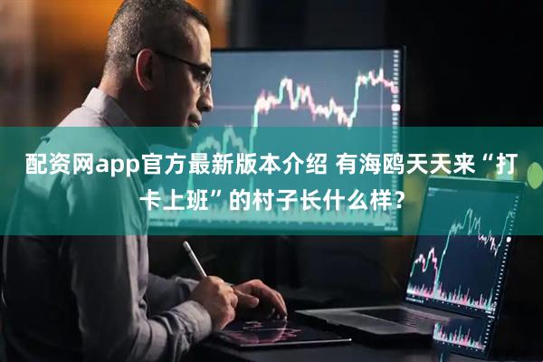 配资网app官方最新版本介绍 有海鸥天天来“打卡上班”的村子长什么样？